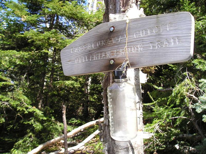 SquareLedge (19).JPG - At the Passaconaway Cut-Off trail we stopped for lunch. Looks like someone lost a bottle.